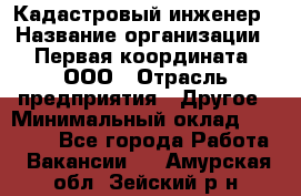 Кадастровый инженер › Название организации ­ Первая координата, ООО › Отрасль предприятия ­ Другое › Минимальный оклад ­ 20 000 - Все города Работа » Вакансии   . Амурская обл.,Зейский р-н